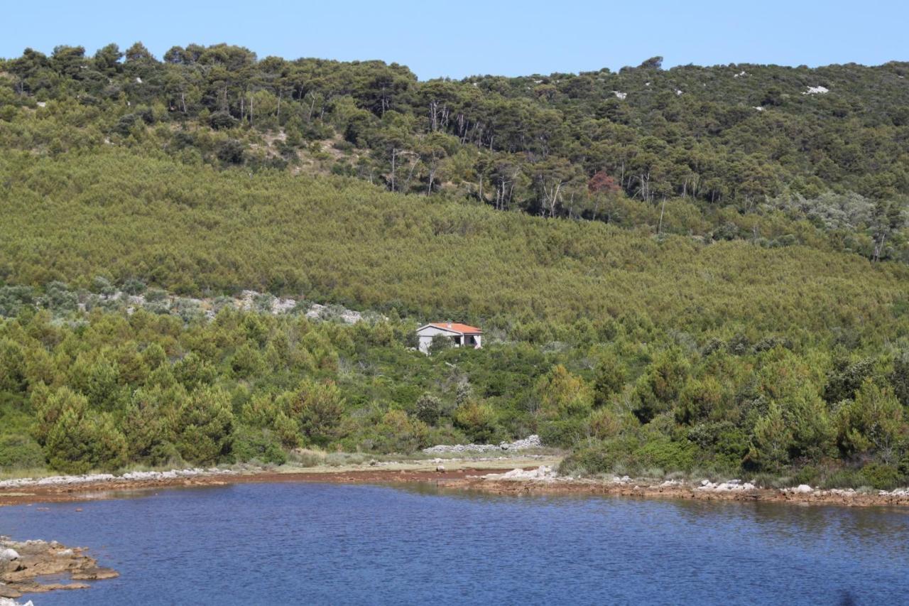 Secluded House Cove Jaz - Telascica, Dugi Otok - 8176 *